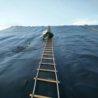 ASTM GRI-GM13 Τυποποιημένη γεωμεμβράνη HDPE 1 mm για εφαρμογές στα λιμάνια ψαριών και στα χώρια υγειονομικής ταφής