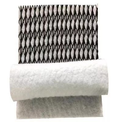 HDPE Mesh 3D Composite Drainage Composite Geo Net Geonet για βιώσιμη λύση αποχέτευσης