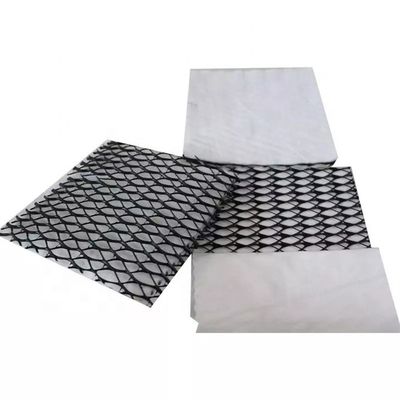 HDPE Mesh 3D Composite Drainage Composite Geo Net Geonet για βιώσιμη λύση αποχέτευσης