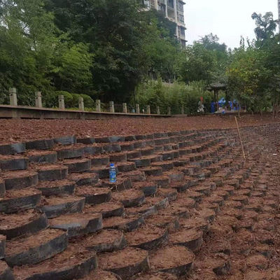 330mm-1000mm Απόσταση συγκόλλησης Γεωκύτταρα Γη Grid Paver για Honeycomb Gravel Driveway