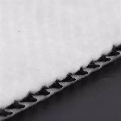 Πάρτε το βιομηχανικό σας Geocomposite Drain 3D Composite Drainage Geonet σε ένα ανταγωνιστικό
