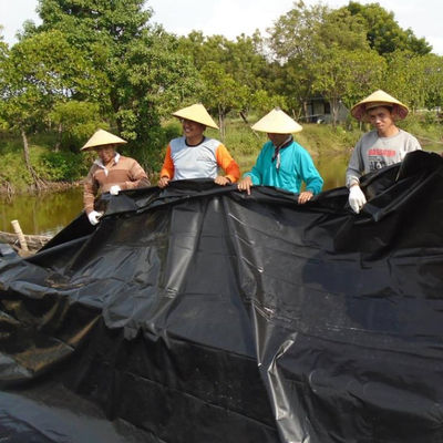 1 mm HDPE Geomembrane Liner για ιχθυοτροφία, γαρίδες, λίμνες, διάρκεια ζωής 10 έτη