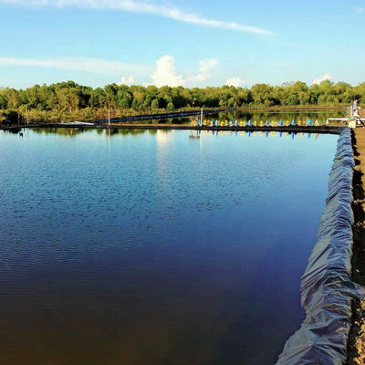Γεωμεμβράνη Πλωτή επιφάνεια HDPE Γεωμεμβράνη επιφάνεια ομαλή και από τις δύο πλευρές 0,75mm 1mm 2mm