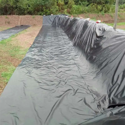 Διπλό λεία HDPE γεωμεμβράνη φύλλο για υδροσταθεροποίηση λιμάνων Εμφάνιση 1m-8m