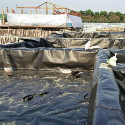 Διπλή ομαλή γεωμεμβράνη HDPE για την αλιευτική εκτροφή, την υδατοκαλλιέργεια