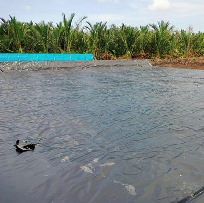 Δάχος 0, 2 mm-3 mm 0,5 mm HDPE γεωμεμβράνη για δεξαμενή ψαριών και υδρατρείο ιχθυοκαλλιέργειας
