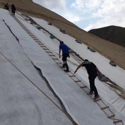 Διάστημα 50m Γεωσυσκευασμένο φύλλο αποστράγγισης 3d Συνθετικό δίκτυο αποστράγγισης 3d Γεωσυσκευασμένο για πληρωμή T/T