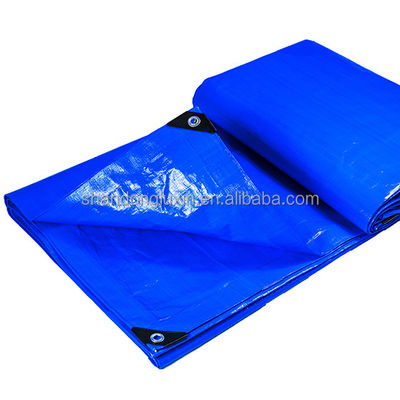 Ελαφρύς βάρος πλακέτα PE Tarpaulin Roll Ιδανικό για βαριά καθήκοντα και υδροστεγή προστασία