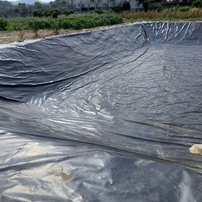 2mm HDPE πλαστική επιφάνεια λίμνης ως υδροστερό επιφάνεια δεξαμενής ψαριών για τις ανάγκες της γεωργίας σας