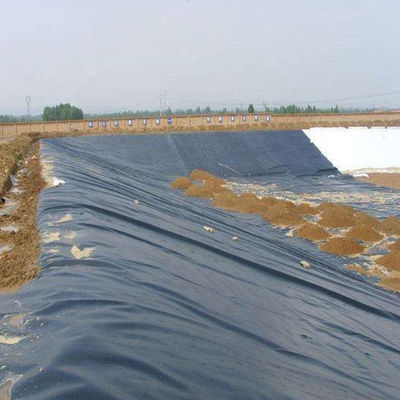 ASTM GM13 Standard HDPE Geomembrane Liner 0,3 mm 0,5 mm 0,75 mm 1 mm για τις αγορές χωρών