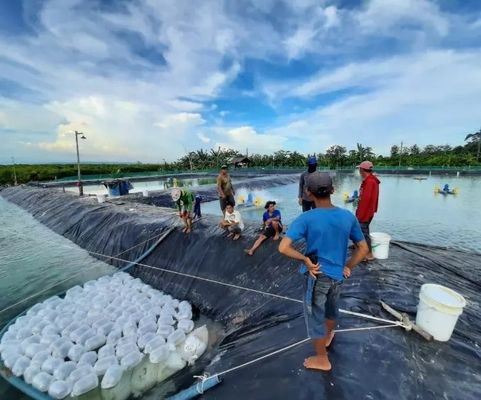 Παροχή δείγματος HDPE γεωμεμβράνη για λίμνη δεξαμενή φράγμα επιφάνειες λίμνη κολύμβησης πισίνα ιχθυοκαλλιέργεια λίμνη