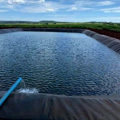 1.0mm HDPE Γεωμεμβράνη για λίμνη ψαριών πλάτος 1-6m Χημικά ανθεκτική μαύρη Γεωμεμβράνη