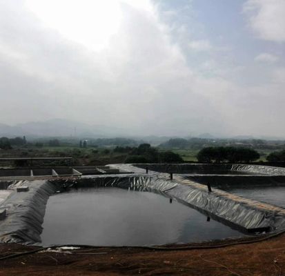 1.0mm HDPE Γεωμεμβράνη για λίμνη ψαριών πλάτος 1-6m Χημικά ανθεκτική μαύρη Γεωμεμβράνη