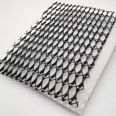 HDPE 3D αλμυρό φράγμα αποστράγγιση Geonet Γεωσυσκευαστικό δίχτυ για χωματερή οδική αποστράγγιση κήπου