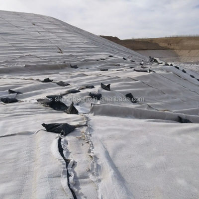 HDPE 3D αλμυρό φράγμα αποστράγγιση Geonet Γεωσυσκευαστικό δίχτυ για χωματερή οδική αποστράγγιση κήπου