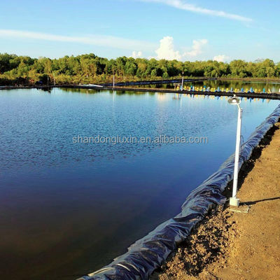 ASTM GRI-GM13 Τυποποιημένη HDPE επένδυση για λίμνες ψαριών και δεξαμενές γεωργικών εκμεταλλεύσεων Μονάδα 0,3 mm-1 mm