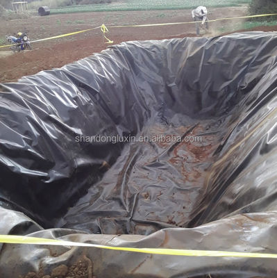 1mm Fish Pond Liner για Fish Farm Pond Dam μήκος λίμνης 50m-100m ή ως απαίτηση του πελάτη