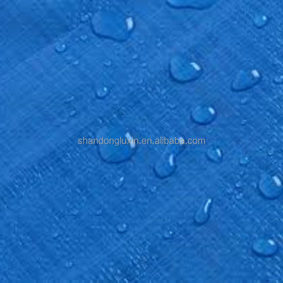 500D-1500D Αριθμός νήματος HDPE βαρύ φορτίο ρυμουλκούμενης σανίδας Ανερόστεγη γαλάζια σανίδη