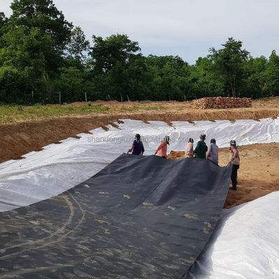 Μηχανή συγκόλλησης γεωμεμβράνης HDPE 1 mm 1,5 mm 2 mm σχεδιασμένη για τις ανάγκες της υδατοκαλλιέργειας
