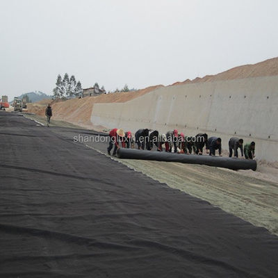 Διπλή ομαλή γεωμεμβράνη HDPE για λίμνες ψαριών 1.25mm/2mm/4mm πάχος Shandong εξαγωγέας
