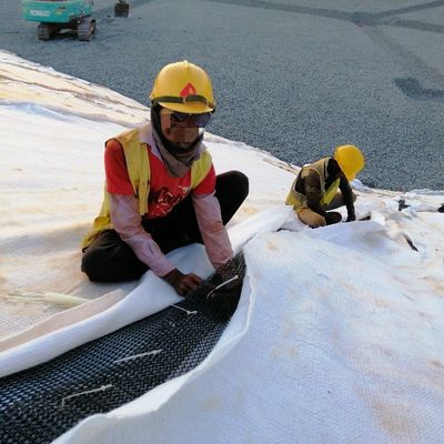 Σύνθετο Geonet αποχέτευσης με γεωτεξυλική κόλλα και πάχος 8 mm πιστοποιημένο ISO9001