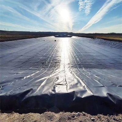 0.5mm HDPE Γεωμεμβράνη για Φυτοκαλλιέργεια Γαρίδας Ψαριών σε Μαύρο Λευκό Μπλε Πράσινο προσαρμοσμένο