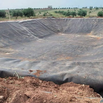 Αμφίδρομη ομαλή / υφασμένη HDPE Geomembrane Liner για λίμνη ιχθυοκαλλιέργειας 0,5 mm 1,0 mm 1,2 mm 2 mm