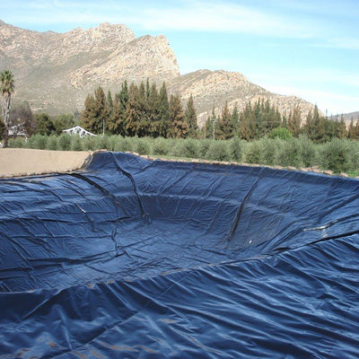 Βιομηχανικό σχεδιασμό 0,5 mm HDPE Smooth Geoliner Fish Pond Liner για υδατοκαλλιέργεια