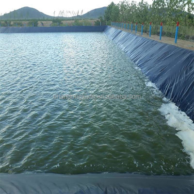 Γεωμεμβράνη HDPE πλάτους 1-8m για την καλλιέργεια γαρίδας