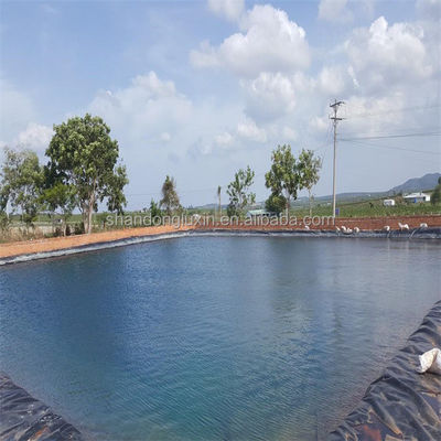 Γεωμεμβράνη HDPE πλάτους 1-8m για την καλλιέργεια γαρίδας