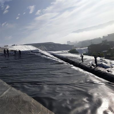 Τυποποιημένη γεωμεμβράνη ράβδου ψαριών σε μαύρο ή προσαρμοσμένο χρώμα για καλλιέργεια αστακοειδών