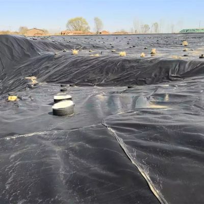 Διπλή ομαλή επιφάνεια 0,5 mm LDPE LLDPE HDPE γεωμεμβράνη για την αλιευτική βιομηχανία