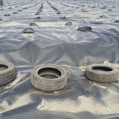 Διπλή ομαλή επιφάνεια 0,5 mm LDPE LLDPE HDPE γεωμεμβράνη για την αλιευτική βιομηχανία