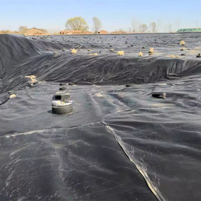 50-100m μήκος HDPE γεωμεμβράνη για αδιάβροχο υδραυλικό στρώμα λίμνης ψαριών στην πισίνα