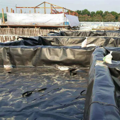 50-100m μήκος HDPE γεωμεμβράνη για αδιάβροχο υδραυλικό στρώμα λίμνης ψαριών στην πισίνα