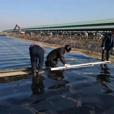 1mm 2mm πάχος HDPE γεωμεμβράνη ρέμα λίμνης ψαριών για τεχνητή υδατοασφάλεια λίμνης