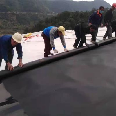 Διπλή ομαλή/διπλή υφή επιφάνειας HDPE γεωμεμβράνη για πλαστικό αδιάβροχο στρώμα λίμνης