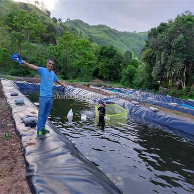 0.75mm HDPE Γεωμεμβράνη Αδιάβροχη μεμβράνη για υδατοκαλλιέργεια