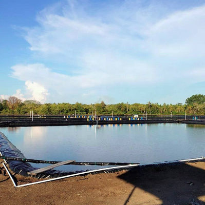 HDPE Geomembrane Fish Pond Liner 0.3mm-3mm Συνολική λύση για έργα υδροφράκτησης