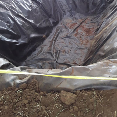 Βιομηχανικό σχεδιασμό Στυλ 2 mm HDPE Geomembrane Waterproof Liner για δεξαμενή ψαριών και λίμνη