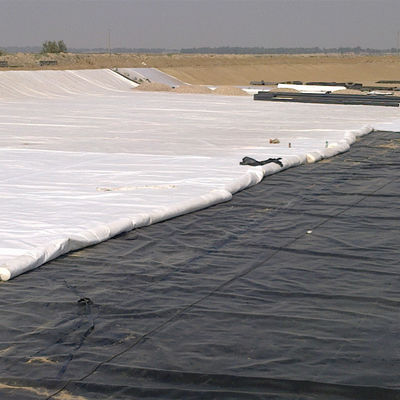 Διπλή ομαλή επιφάνεια 1 mm HDPE γεωμεμβράνη για την εγκατάσταση επένδυσης λίμνης φάρμας γαρίδας