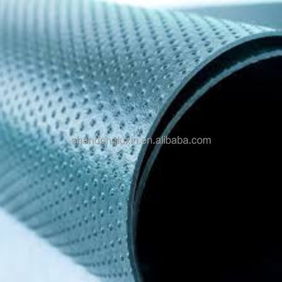 Εξωτερική γεωμεμβράνη HDPE Αδιαπέραστη μεμβράνη για γεωσυνθετικά υλικά LDPE EVA