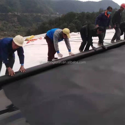 Γεωμεμβράνη HDPE 2 mm για λιμάνια ιχθύων Δάμα επιφάνειας διπλής ομαλότητας/διπλής υφής