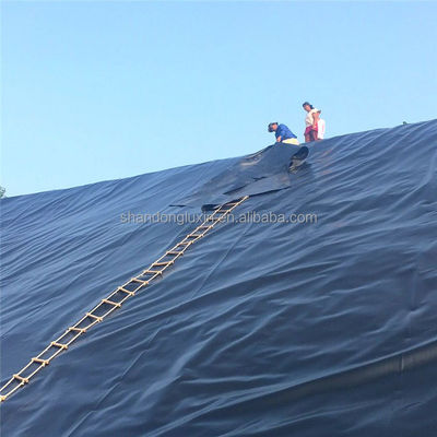 Τυπική γεωμεμβράνη ASTM GRI-GM13 για μακροχρόνια και ανθεκτική σε τρύπες προστασία
