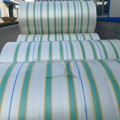 Προσαρμοσμένο χρώμα PE Tarpaulin Αδιάβροχο Αδιάβροχο Αδιάβροχο για αυτοκίνητα