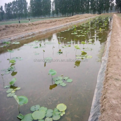 0.75mm HDPE Πυροσβεστήρες λίμνης και 1.0mm Geomembrane δεξαμενής ψαριών για την αποδοτικότητα της καλλιέργειας γαρίδας