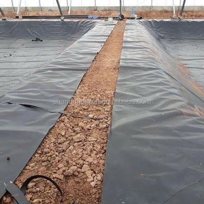 Γλυκιά Γεωμεμβράνη Ακατέργαστη Γεωμεμβράνη Συνθετική Γεωμεμβράνη 1 mm 2 mm για εξωτερικές λίμνες