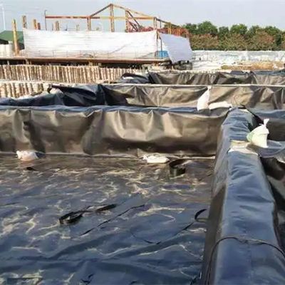 Αλιευτική εκτροφή Λίμνες Λίμνη λιμνοθάλασσα Υδατοκαλλιέργεια Πολυαιθυλένιο υψηλής πυκνότητας Γεωμεμβράνη 2mm