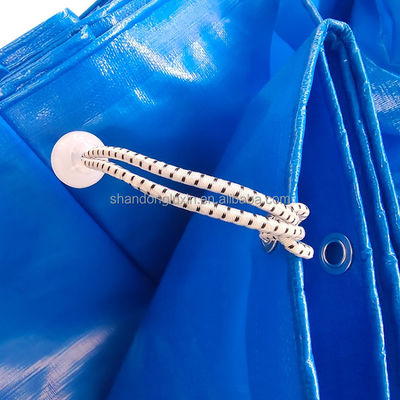 s PE Blue Tarpaulin Fabric για ανθεκτική στην σκόνη και την αντίσταση με το φως του ήλιου πλάτος 2-11m 180gm