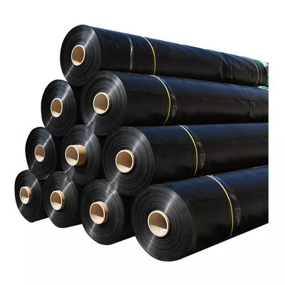 50-200m μήκος HDPE ομαλή γεωμεμβράνη 1mm υδρατρίδας ψαριών μοντέρνο σχεδιασμό ανθεκτικό